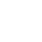 Concessionaire Renault